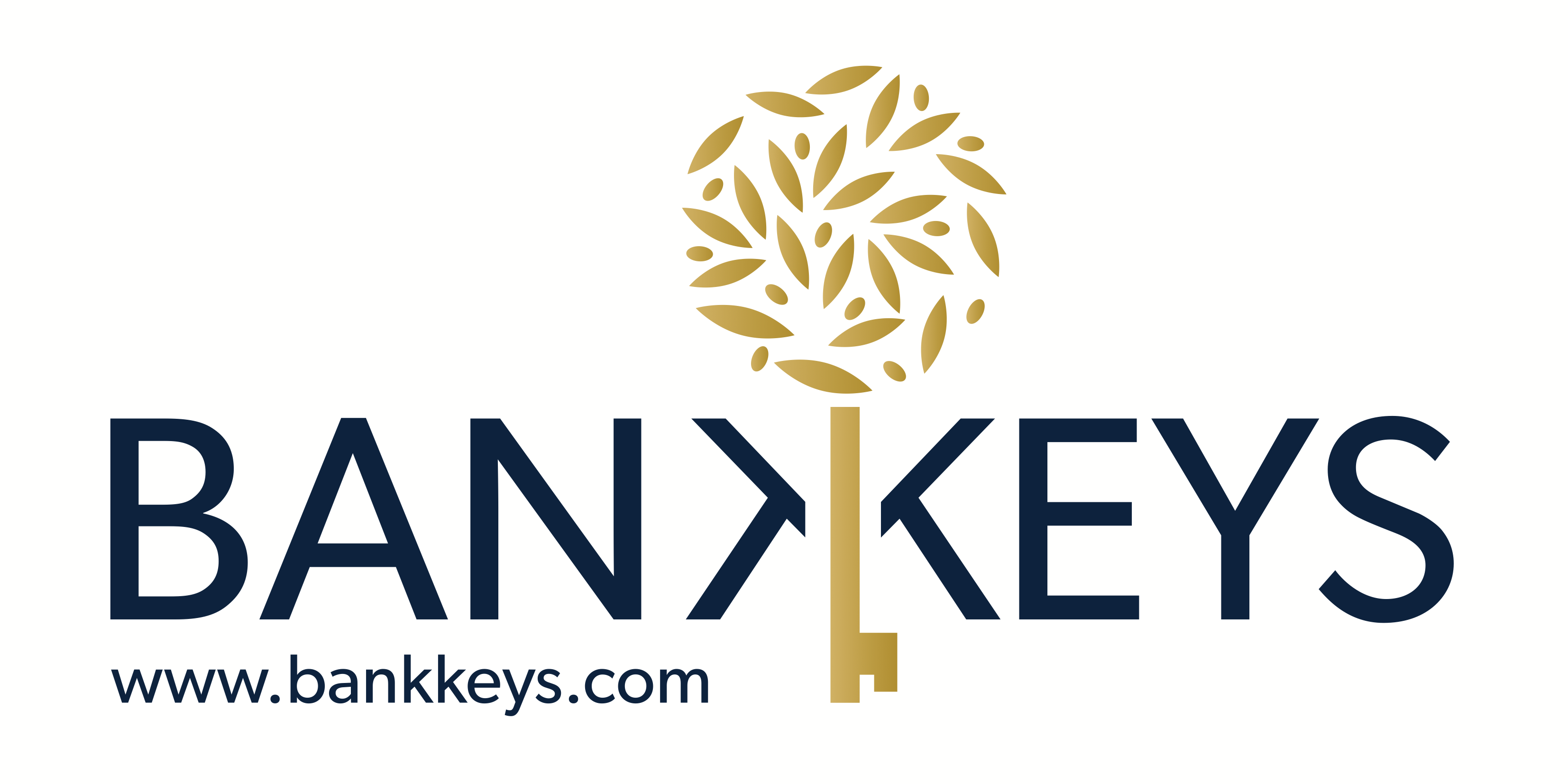 Logo Bankkeys